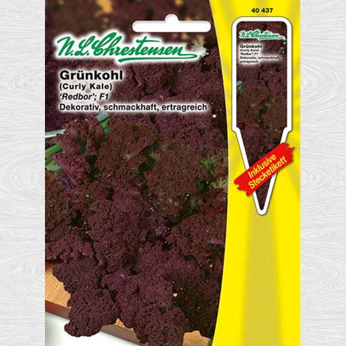 Varză kale Redbor F1 articol fotografie 1 Varză kale Redbor F1 imagine 1 articol 69082