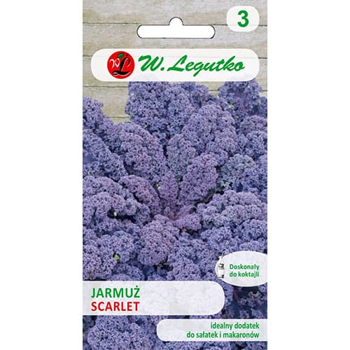 Varză Kale Scarlet imagine 1 articol 69475