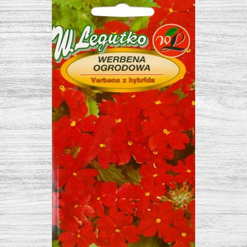 Verbena de grădină roșie imagine 1 articol 78593