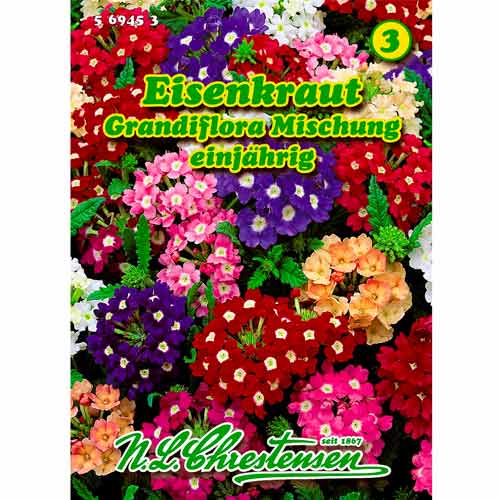 Verbena, mix multicolor Chrestensen imagine 1 articol 50035