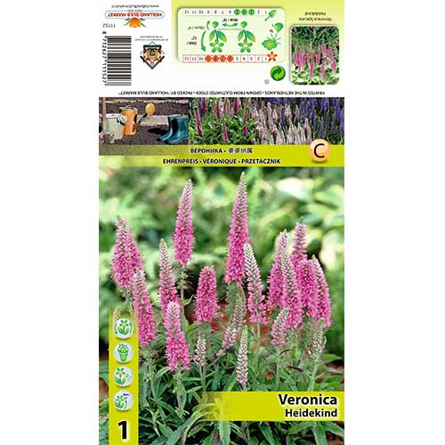 Veronica Heidekind imagine 1 articol 70454