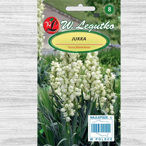 Yucca albă Legutko articol fotografie 1 Yucca albă Legutko imagine 1 articol 78605