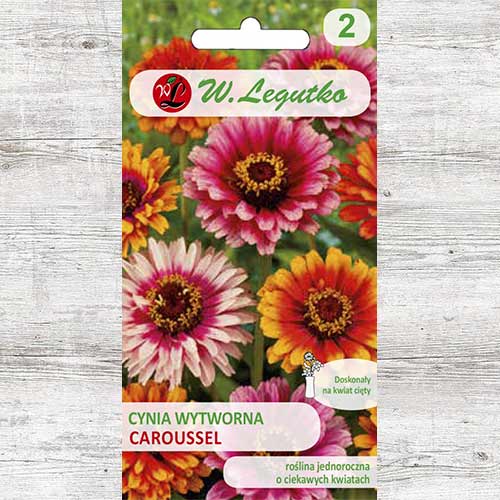 Zinnia (Cârciumăreasă) Caroussel Legutko articol fotografie 1 Zinnia (Cârciumăreasă) Caroussel Legutko imagine 1 articol 86819