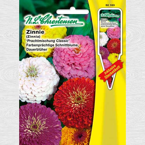 Zinnia (Cârciumăreasă) Classic Mix, mix multicolor articol fotografie 1 Zinnia (Cârciumăreasă) Classic Mix, mix multicolor imagine 1 articol 69417