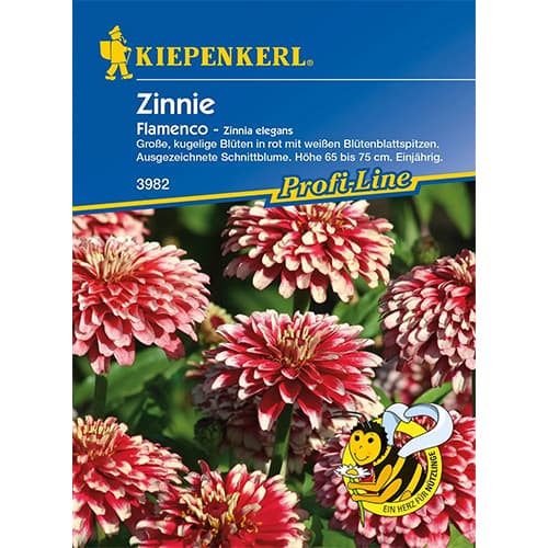 Zinnia (Cârciumăreasă) Flamenco imagine 1 articol 86359
