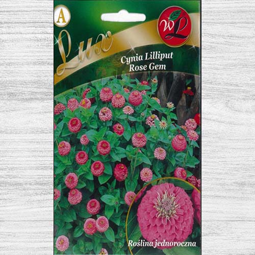Zinnia (Cârciumăreasă) Liliput Rose Gem articol fotografie 1 Zinnia (Cârciumăreasă) Liliput Rose Gem imagine 1 articol 78658