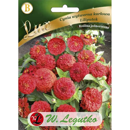 Zinnia (Cârciumăreasă) Liliputek pitică roșie articol fotografie 1 Zinnia (Cârciumăreasă) Liliputek pitică roșie imagine 1 articol 78662