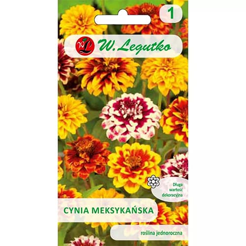 Zinnia (Cârciumăreasă) mexicană, mix multicolor imagine 1 articol 78547