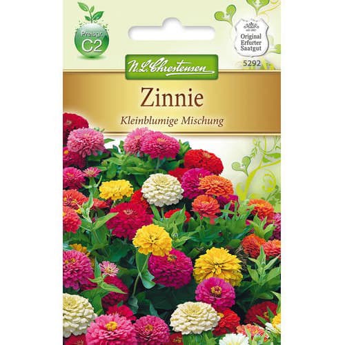 Zinnia (Cârciumăreasă) pitică, mix multicolor imagine 1 articol 78949