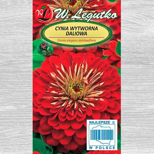 Zinnia Scarlet Flame Legutko imagine 1 articol 69576