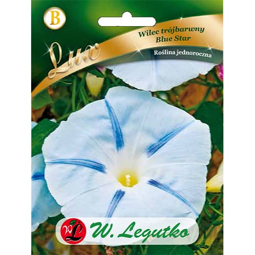 Zorele Blue Star Tricolor imagine 1 articol 86759