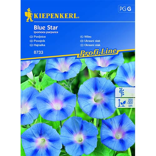Zorele (Ipomea) Blue Star imagine 1 articol 86268