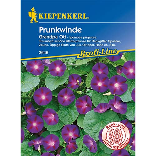 Zorele (Ipomea) Grandpa Ott imagine 1 articol 87256