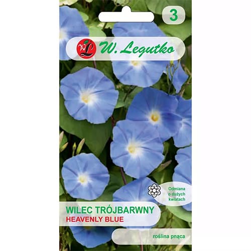 Zorele (Ipomea) Heavenly Blue imagine 1 articol 78595