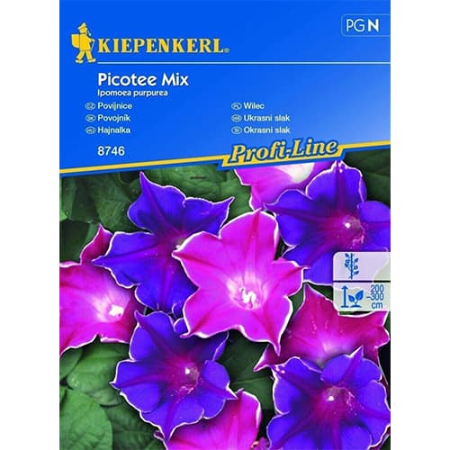 Zorele (Ipomea) Picotee, mix multicolor imagine 1 articol 86270