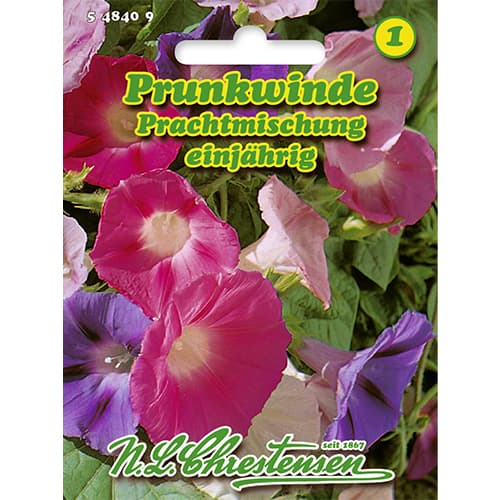 Zorele Splendid, mix multicolor imagine 1 articol 86178