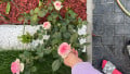 upload_img1