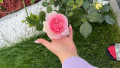 upload_img1