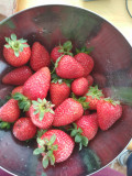 upload_img1