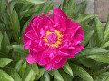 upload_img1