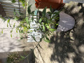 upload_img1