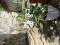 upload_img1