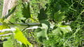 upload_img1
