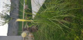 upload_img1