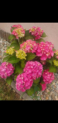 upload_img1