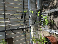 upload_img1