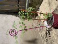 upload_img1