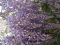 upload_img1
