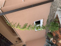 upload_img1