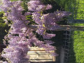 upload_img1