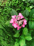upload_img1