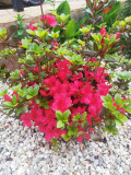 upload_img1