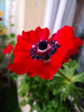 upload_img1