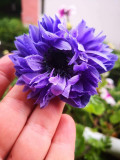 upload_img1