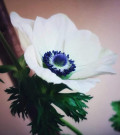 upload_img1