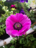 upload_img1