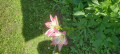 upload_img1