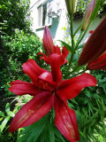 upload_img1