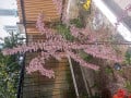 upload_img1