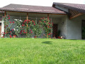 upload_img1