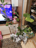 upload_img1
