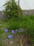 upload_img1