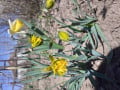 upload_img1