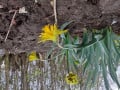 upload_img1