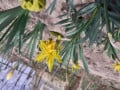 upload_img1