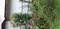 upload_img1